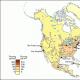 Америка: население континента, его происхождение и особенности Языки в Южной Америке